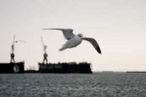 Über uns anvel sea 5029693 1920